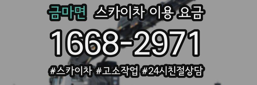 금마면 스카이차 이용 요금