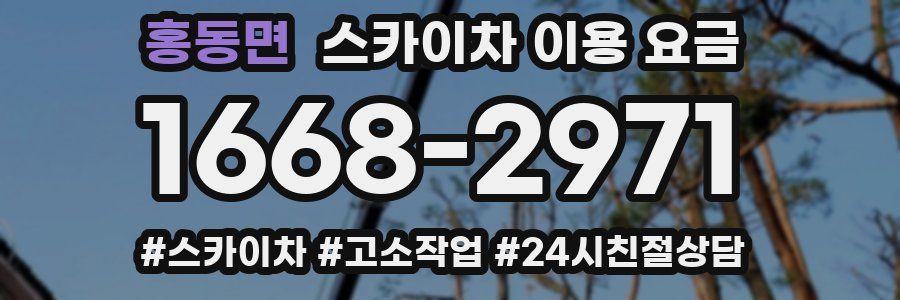 홍동면 스카이차 이용 요금