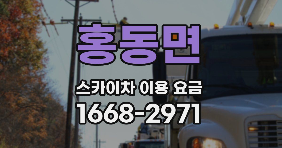 홍동면 스카이차 이용 요금
