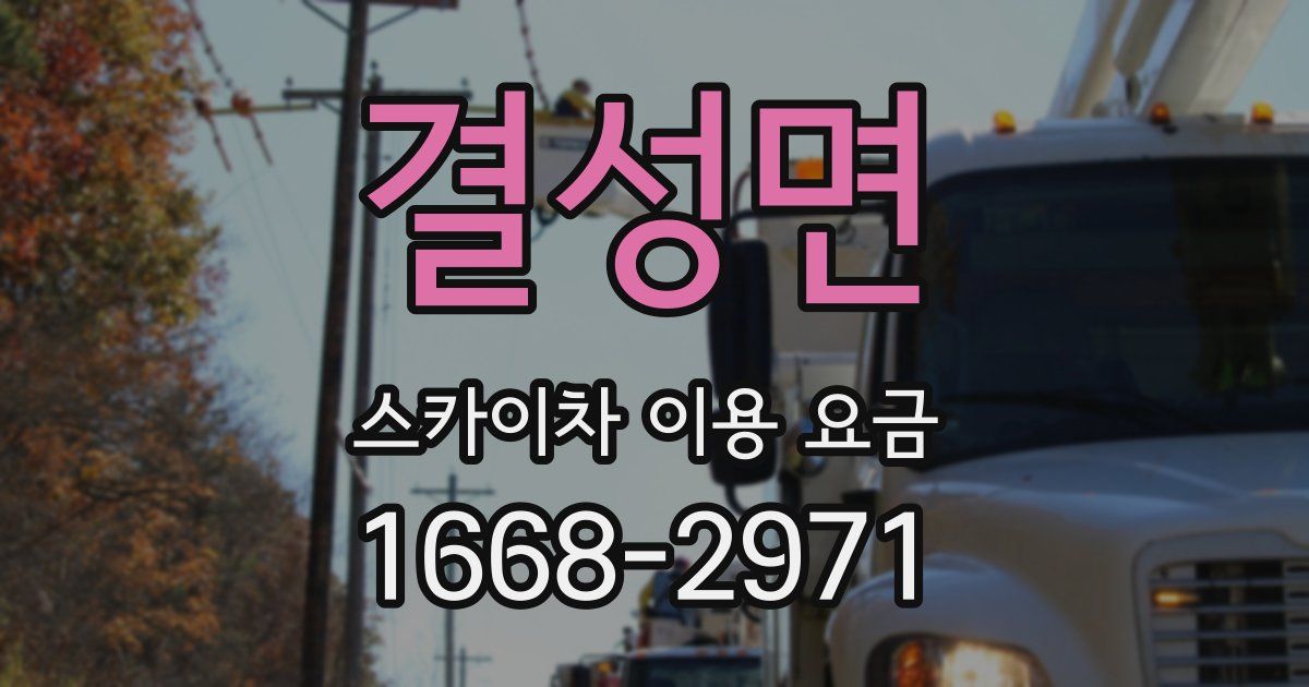 결성면 스카이차 이용 요금