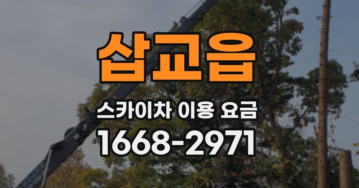 삽교읍 스카이차 이용 요금