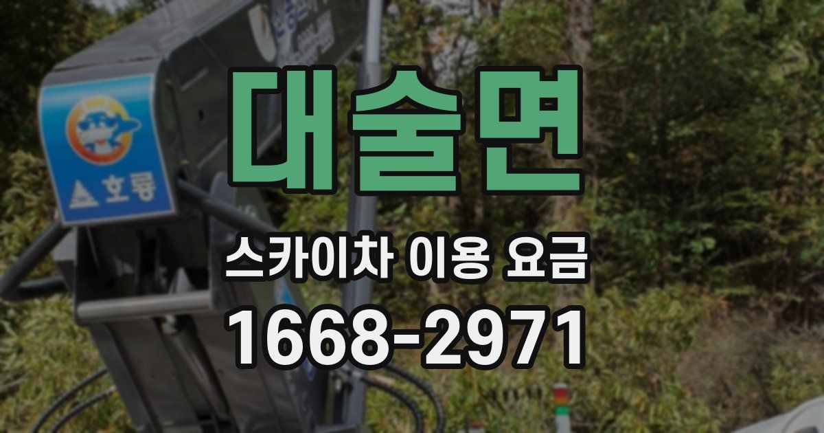 대술면 스카이차 이용 요금
