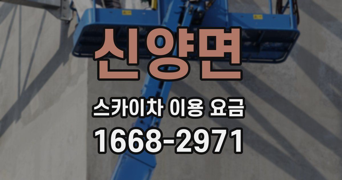 신양면 스카이차 이용 요금