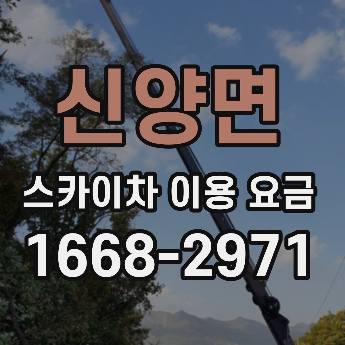 신양면 스카이차 이용 요금