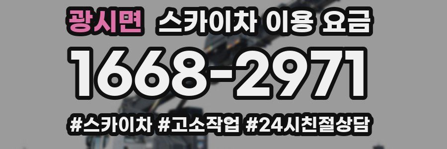 광시면 스카이차 이용 요금