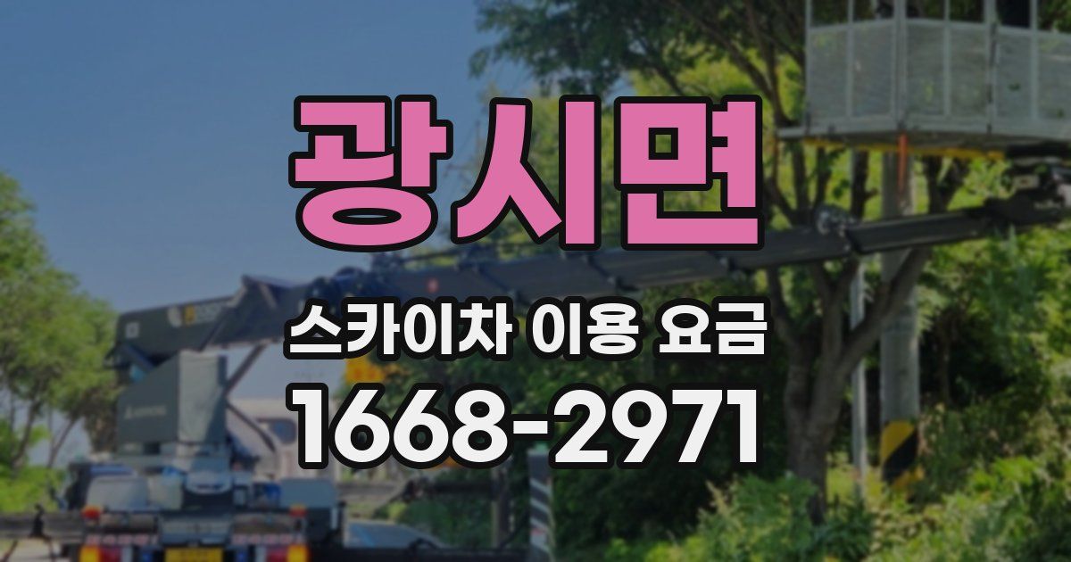 광시면 스카이차 이용 요금