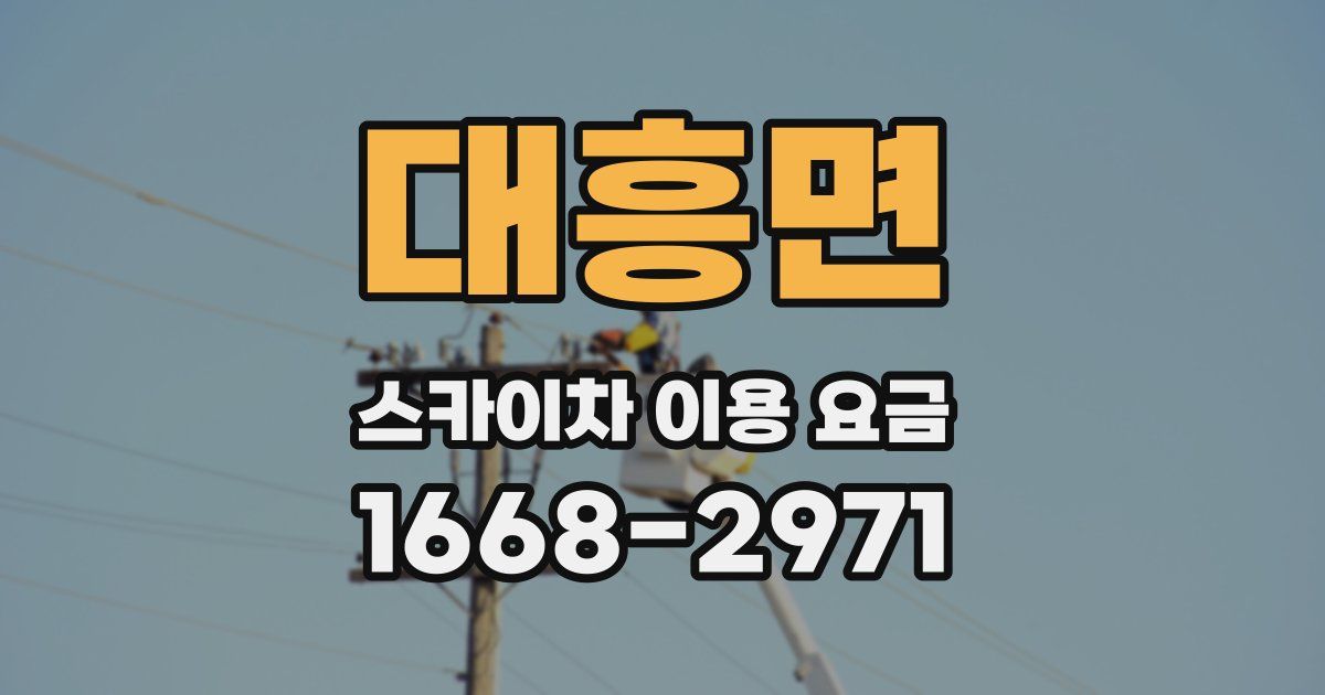 대흥면 스카이차 이용 요금