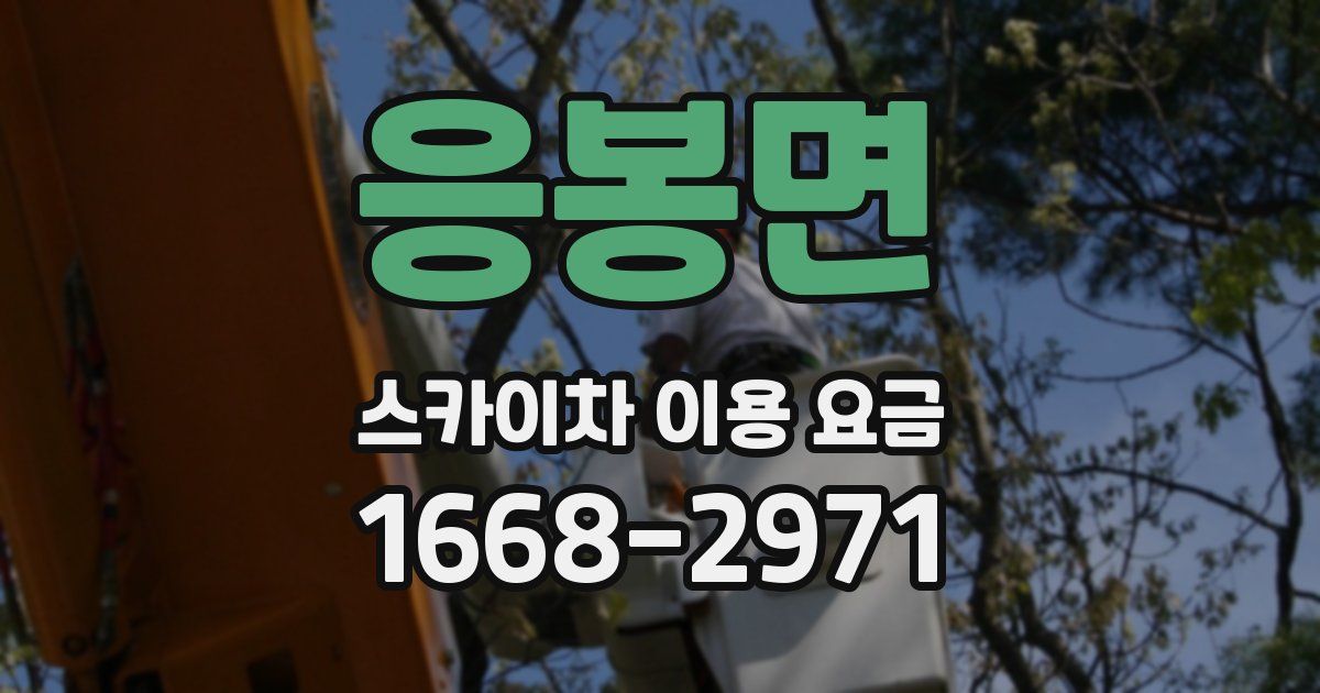응봉면 스카이차 이용 요금