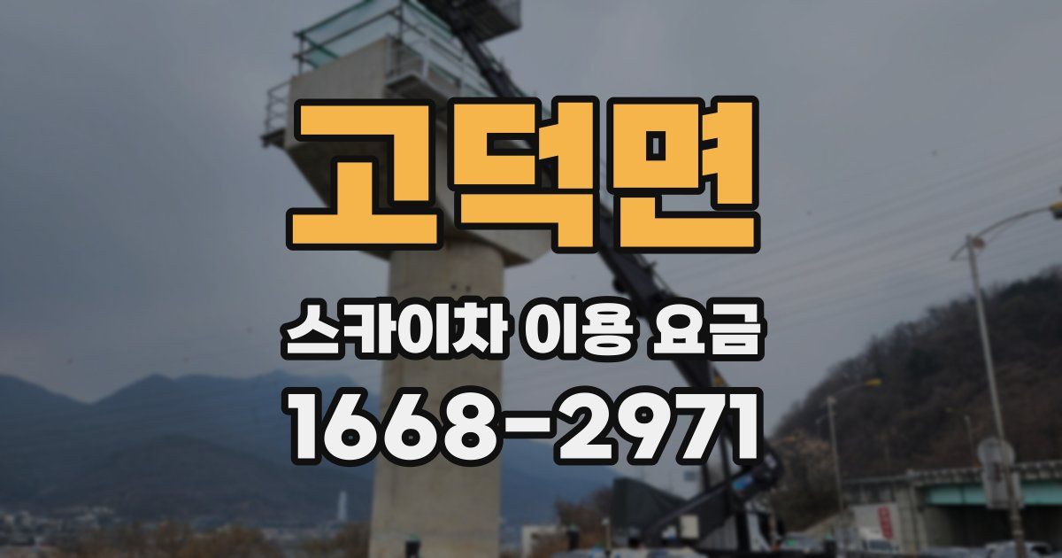 고덕면 스카이차 이용 요금