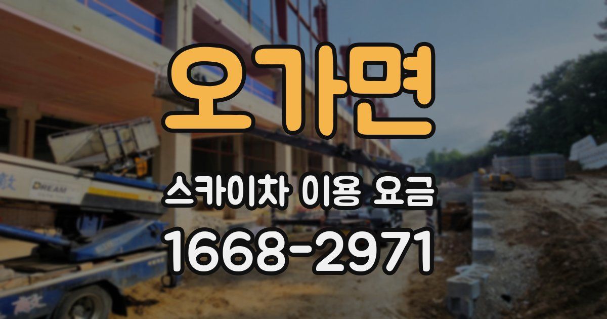 오가면 스카이차 이용 요금
