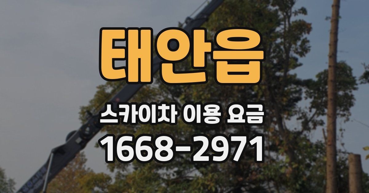태안읍 스카이차 이용 요금