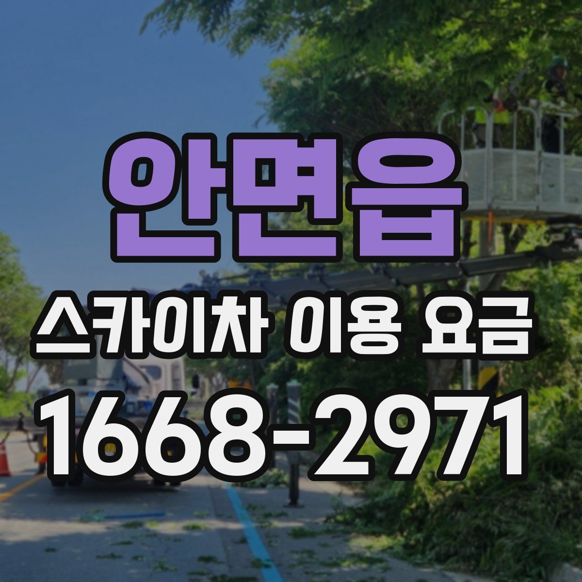 안면읍 스카이차 이용 요금