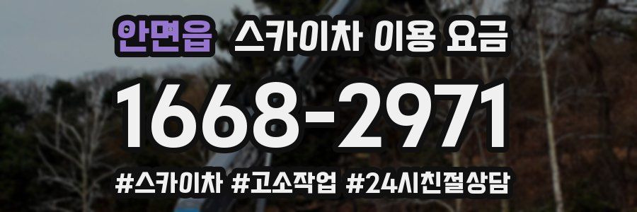 안면읍 스카이차 이용 요금
