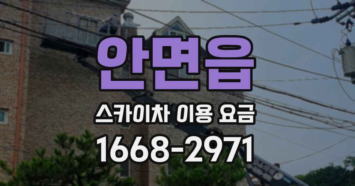 안면읍 스카이차 이용 요금