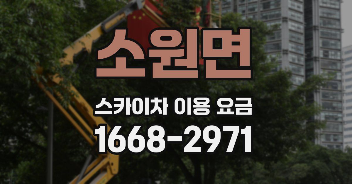 소원면 스카이차 이용 요금