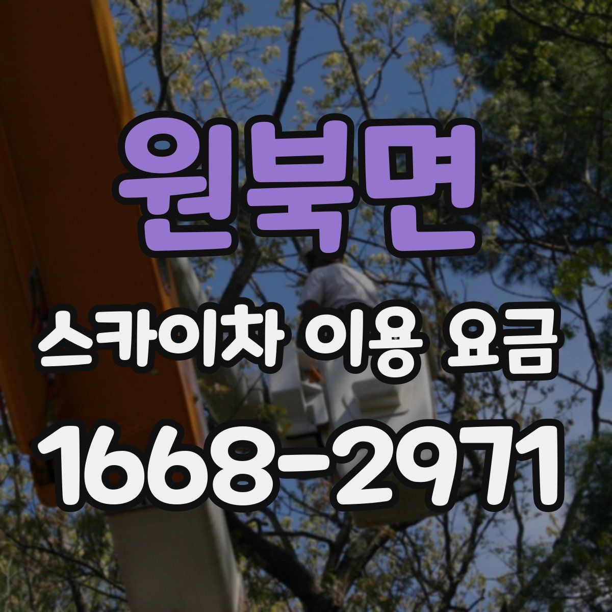 원북면 스카이차 이용 요금