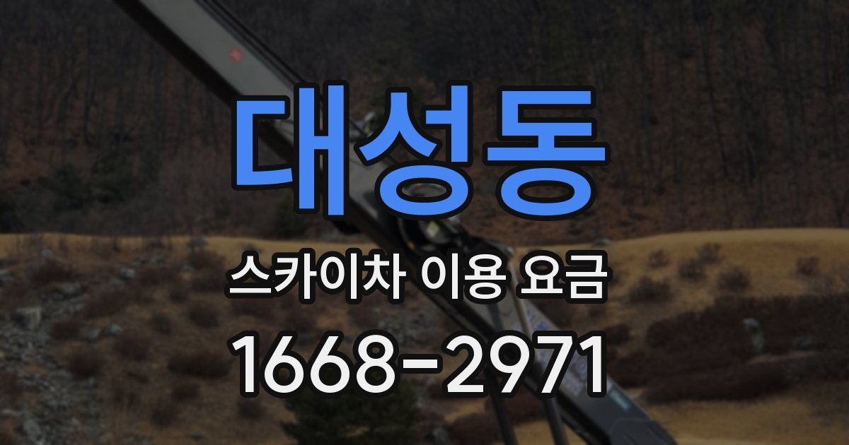 대성동 스카이차 이용 요금