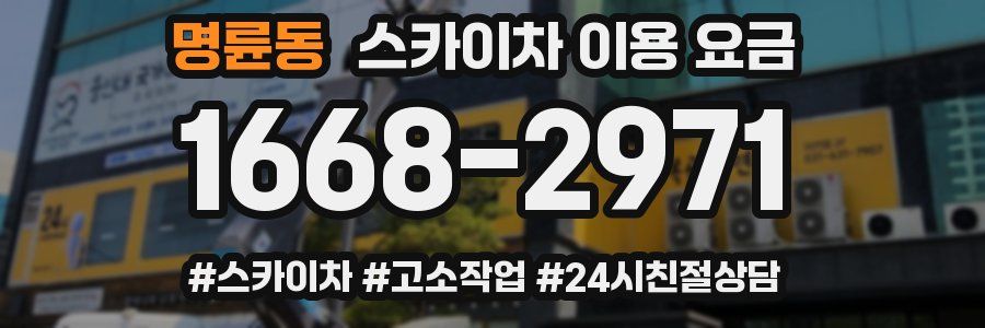 명륜동 스카이차 이용 요금