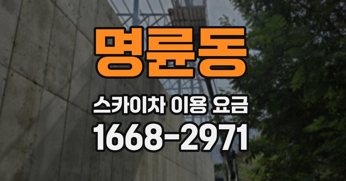 명륜동 스카이차 이용 요금