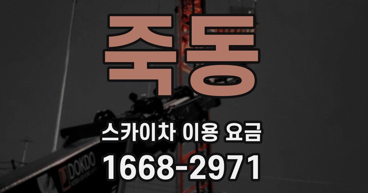 죽동 스카이차 이용 요금