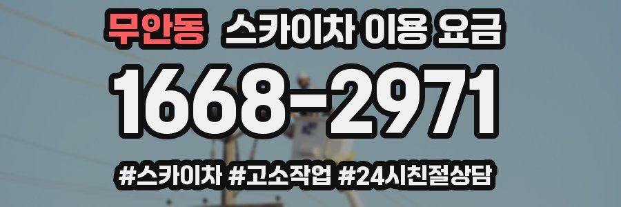 무안동 스카이차 이용 요금