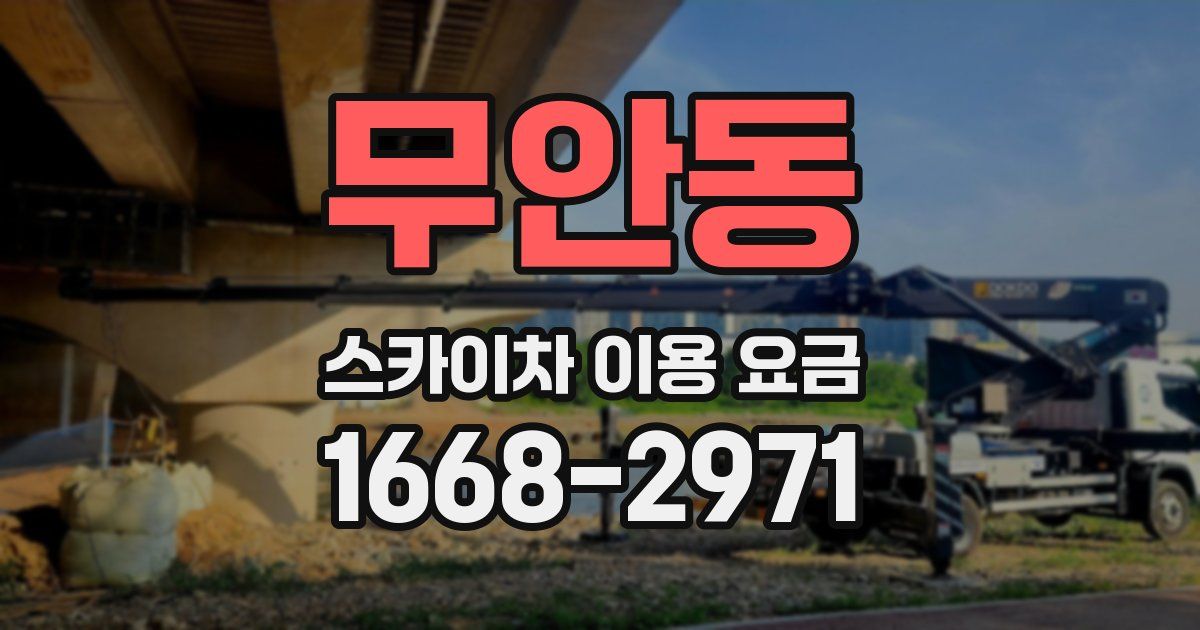 무안동 스카이차 이용 요금