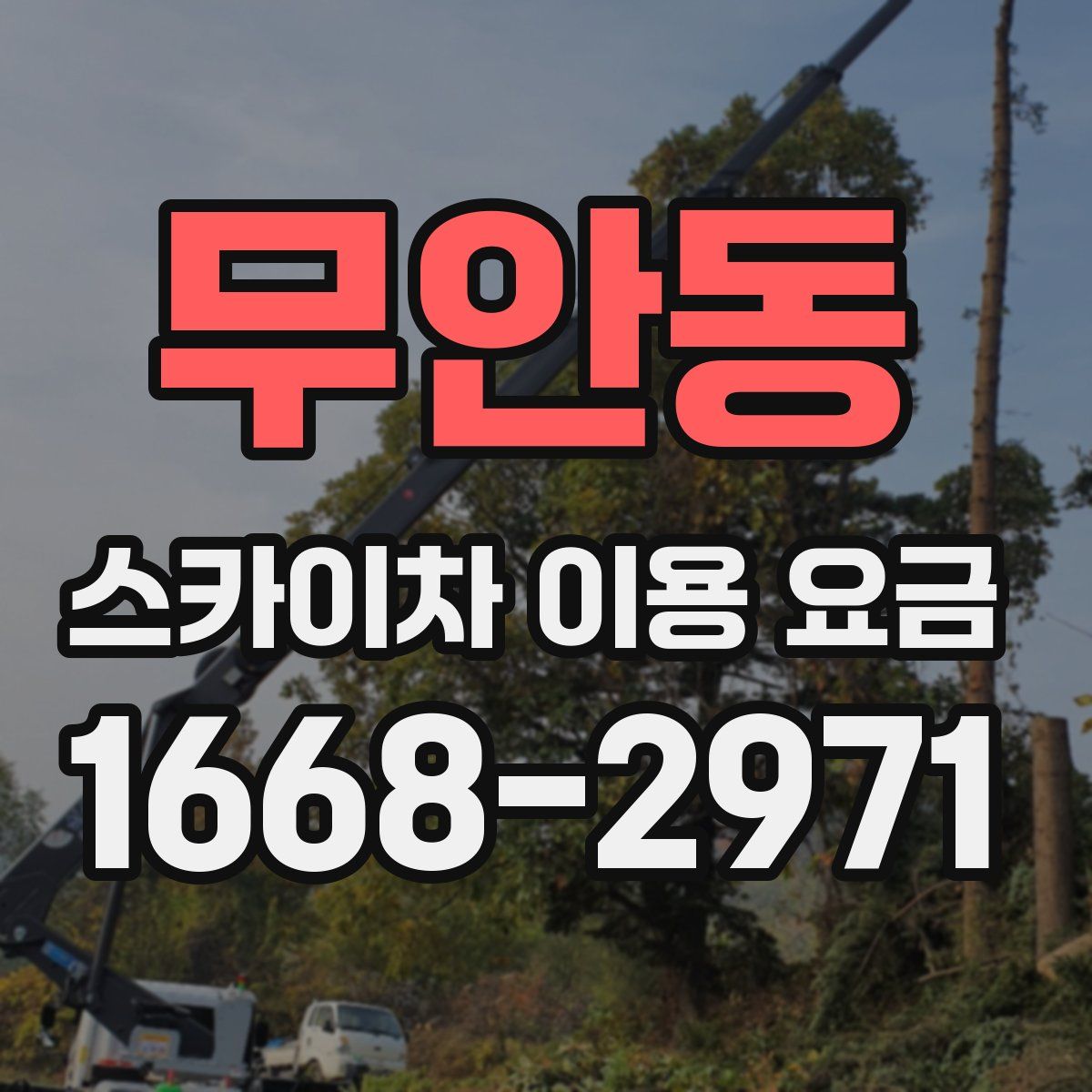 무안동 스카이차 이용 요금