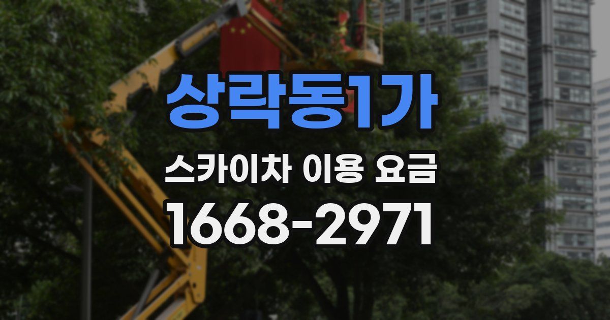 상락동1가 스카이차 이용 요금