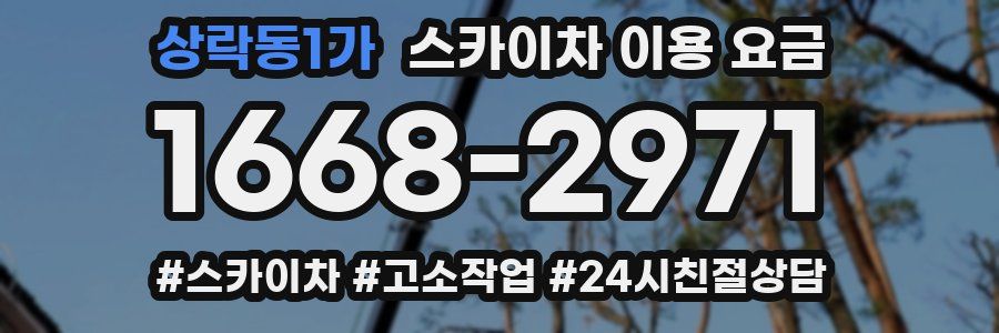 상락동1가 스카이차 이용 요금
