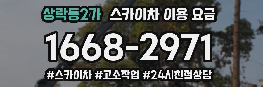 상락동2가 스카이차 이용 요금