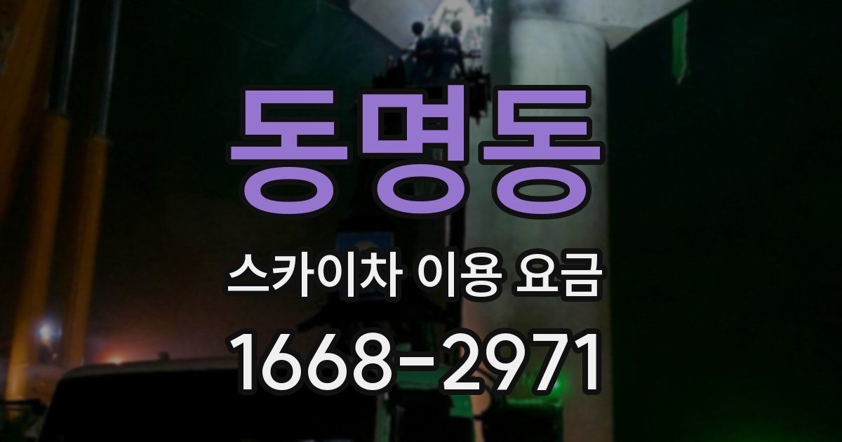 동명동 스카이차 이용 요금