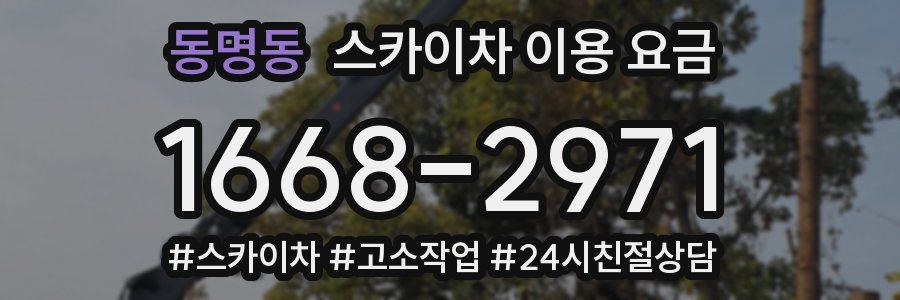 동명동 스카이차 이용 요금