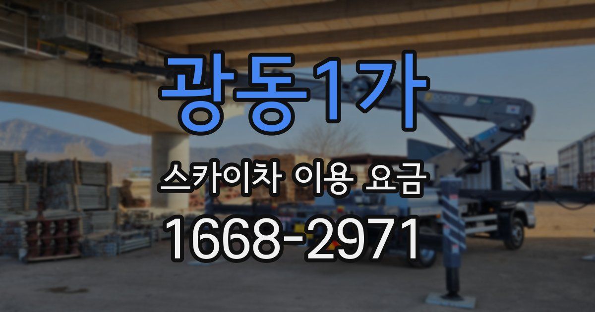 광동1가 스카이차 이용 요금