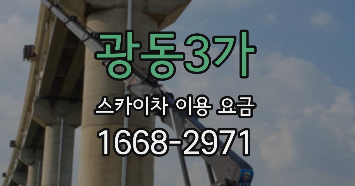 광동3가 스카이차 이용 요금