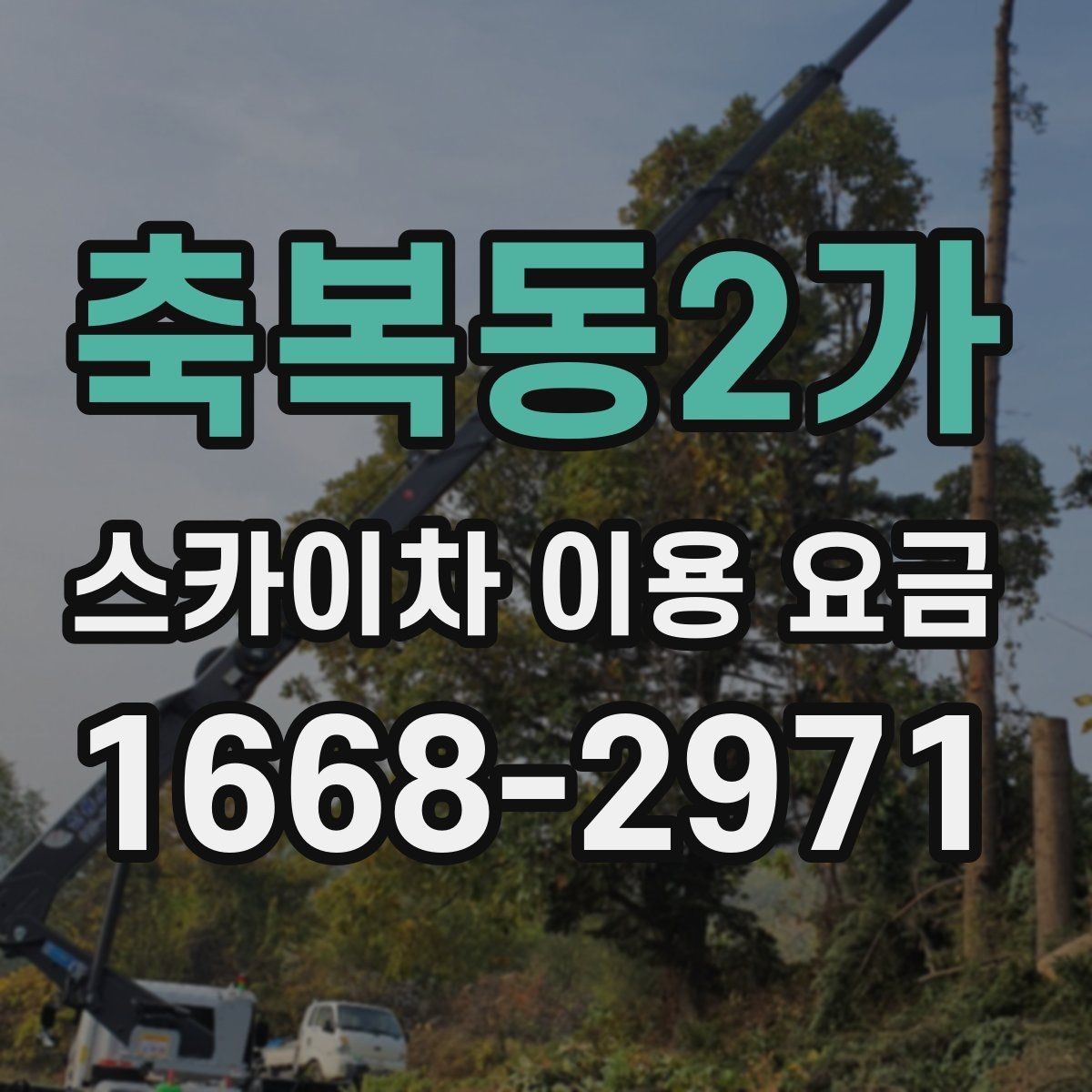 축복동2가 스카이차 이용 요금 비교 후 선택할 때 유의점