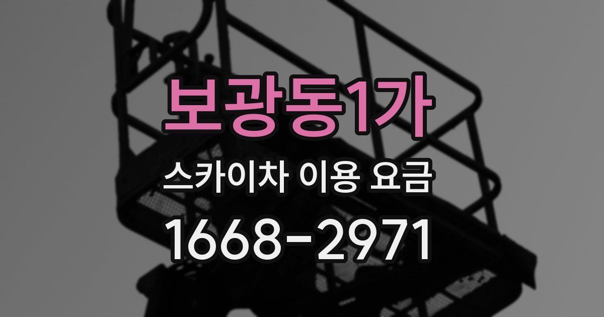 보광동1가 스카이차 이용 요금