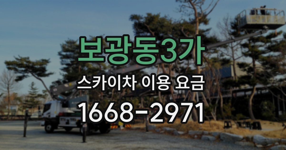보광동3가 스카이차 이용 요금