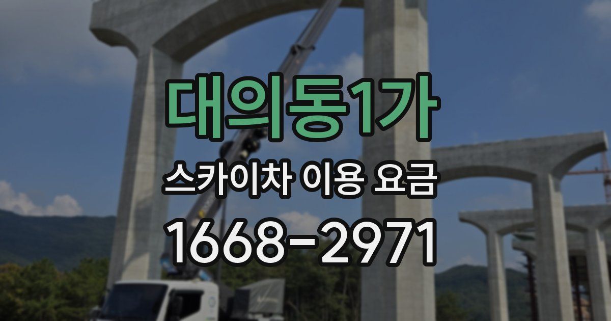 대의동1가 스카이차 이용 요금