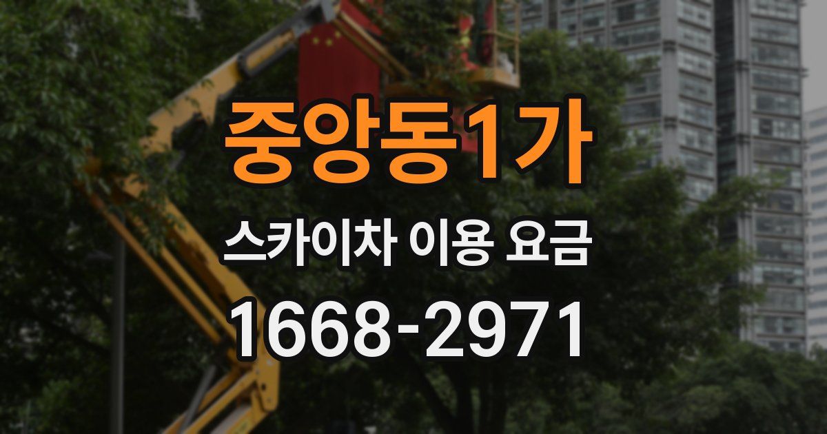 중앙동1가 스카이차 이용 요금