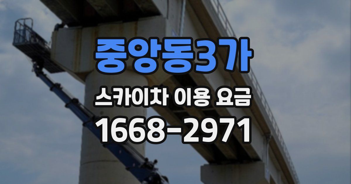 중앙동3가 스카이차 이용 요금