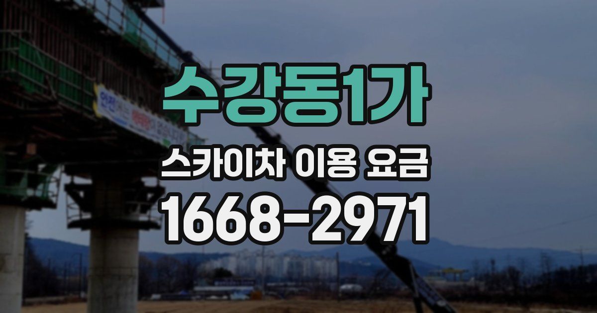 수강동1가 스카이차 이용 요금