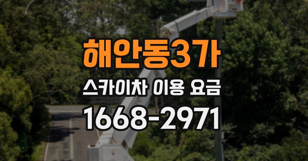 해안동3가 스카이차 이용 요금
