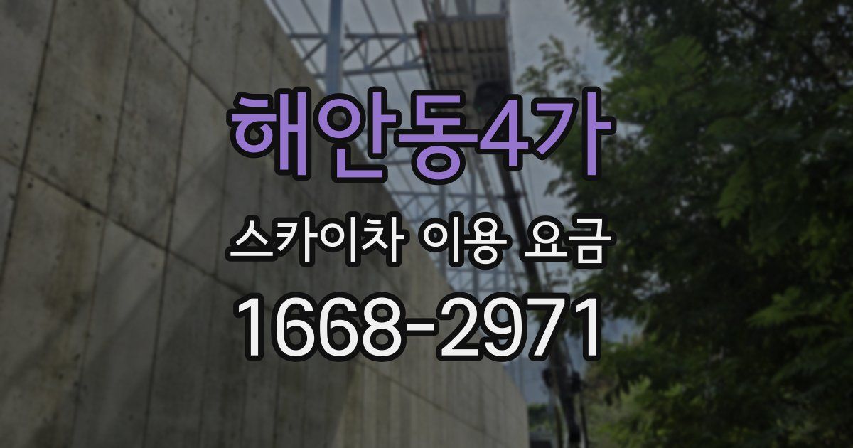 해안동4가 스카이차 이용 요금