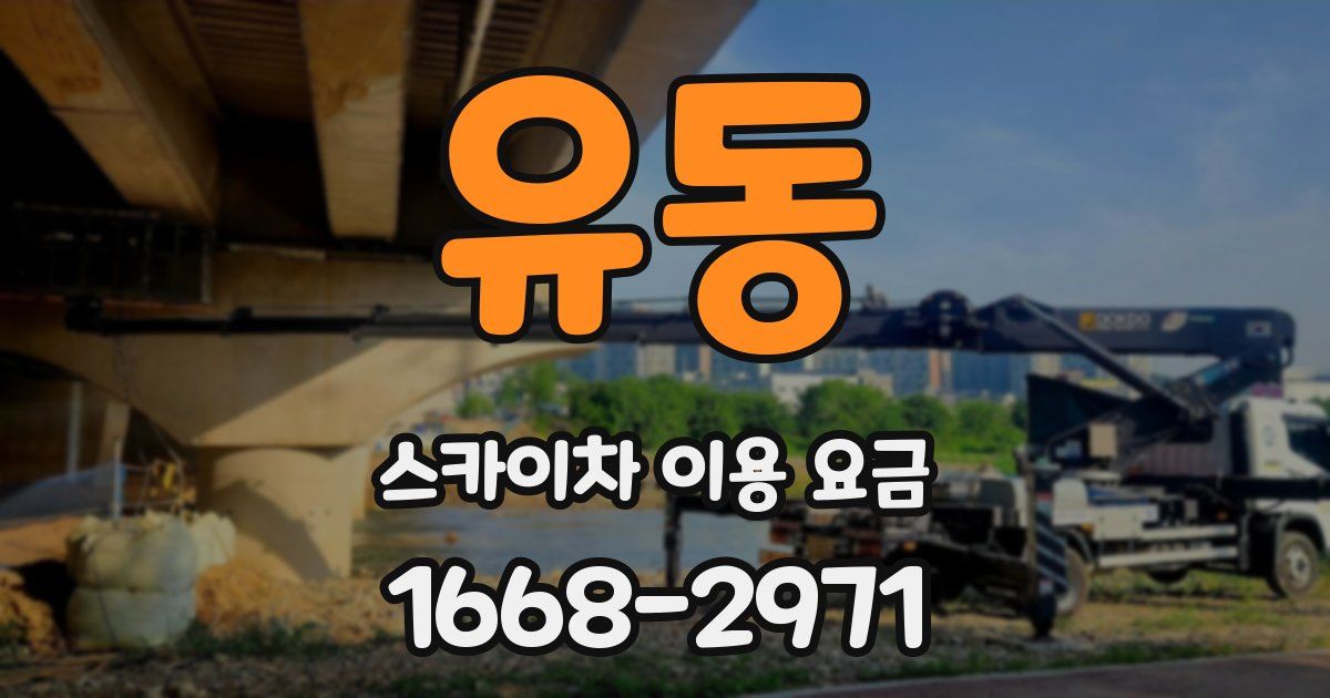 유동 스카이차 이용 요금