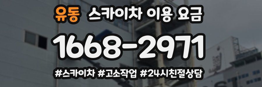 유동 스카이차 이용 요금