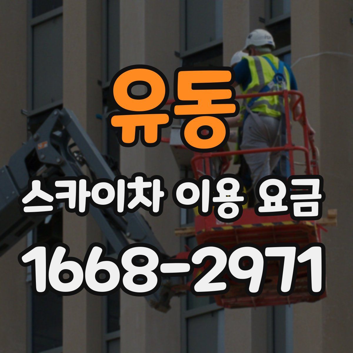 유동 스카이차 이용 요금