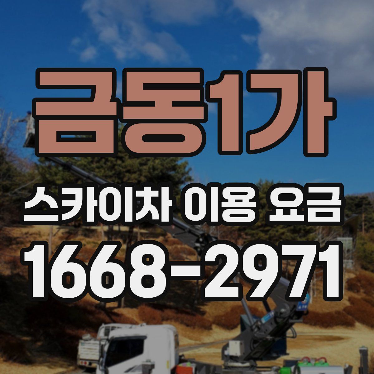 금동1가 스카이차 이용 요금