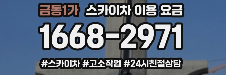 금동1가 스카이차 이용 요금