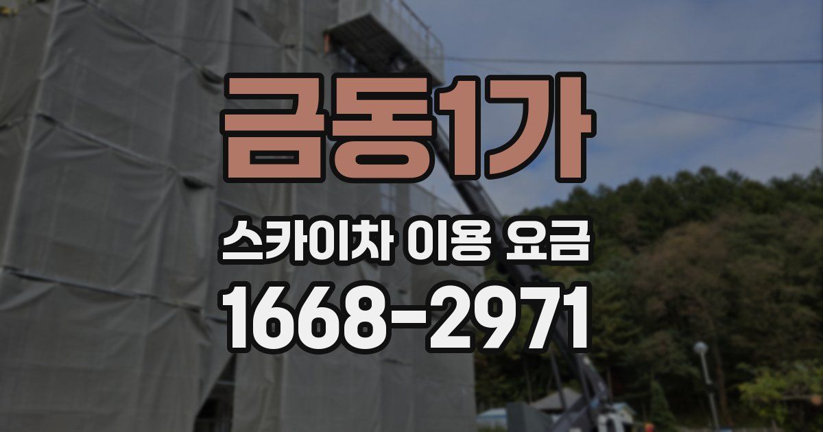금동1가 스카이차 이용 요금
