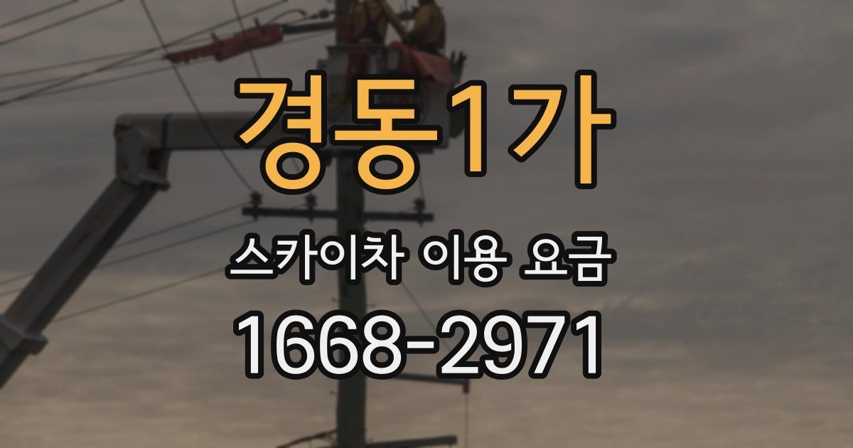 경동1가 스카이차 이용 요금